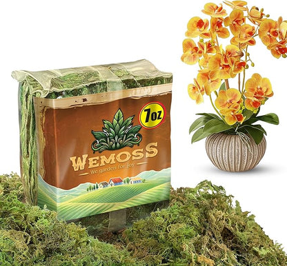 Natural Moss for Plants Indoor, Dried Moss for Potted Plants, Orchid Moss for Repotting, Forest Moss for Orchid Potting Mix, Decorative Moss Filler for Planters and Craft Moss (7oz)