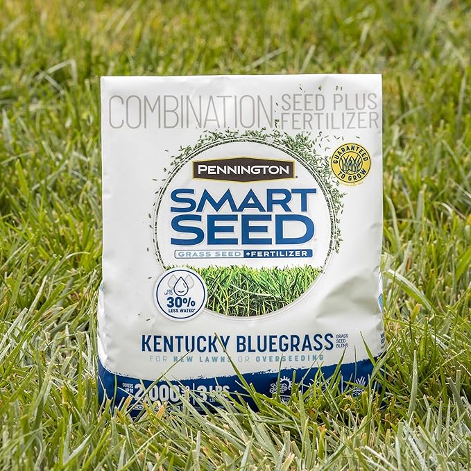 Pennington Smart Seed Kentucky Blue Grass Mix 3 lb