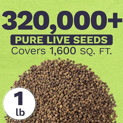 Bulk California Orange Poppy Wildflower Seeds - 1 Pound Bag - Over 320,000 Native Seeds - California State Flower!