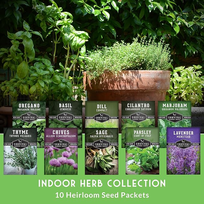 Herb Seeds Variety Pack | 10 Culinary Herbs for Planting – Basil, Cilantro, Lavender, Dill, Parsley, Oregano, Thyme, Sage, Chives, Marjoram – Indoor Kitchen Herb Kit – Survival Garden Seeds
