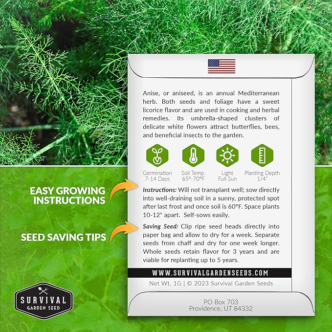 Anise Seeds for Planting - Sweet Anise Herb (Pimpinella anisum) - Culinary and Tea Garden Variety, Heirloom Non GMO - Survival Garden Seeds (1 Pack)