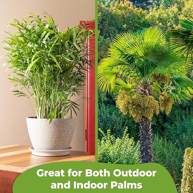 Liquid Palm Tree Fertilizer by Perfect Plants | Feed All Indoor or Outdoor Palms with Nutrient Dense Food | for Species Including Windmill, Sago, Ponytail, Majesty, & More | NPK 8-8-8 (1 Qt)