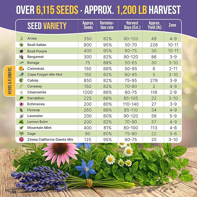18 Medicinal Tea Herb & Flower Seeds Variety Pack - 6,100+ Non-GMO Heirloom Flower Seeds for Outdoor and Indoor Home Gardening, Including Anise, Borage, Catnip, Chamomile, Dandelion, Lavender, Sage