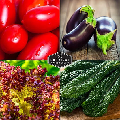 Italian Heirloom Vegetable Seeds – 6 Variety Garden Collection for Planting with Romanesco Broccoli, Roma Tomato, Marconi Pepper, & More – Non-GMO Vegetables for Home Gardens – Survival Garden Seeds