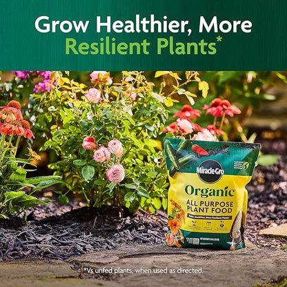 Miracle-Gro Organic All Purpose Plant Food, for Outdoor Container and In-Ground Plants, Feeds for up to 3 Months, OMRI Listed, 3 lb.