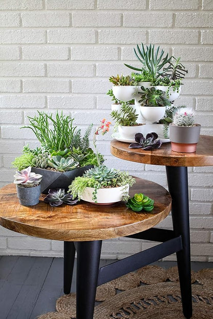 The HC Companies 6 Inch Round Plastic Succulent Capri Bowl Decorative Indoor Flower Succulent Planter Pot with Drain Plug Hole, Artisan Taupe with Copper Bottom Color (2 Pack)