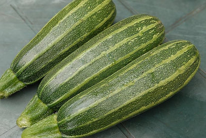 Seeds Vegetable Zucchini Tiger Striped Green - 30 Seeds