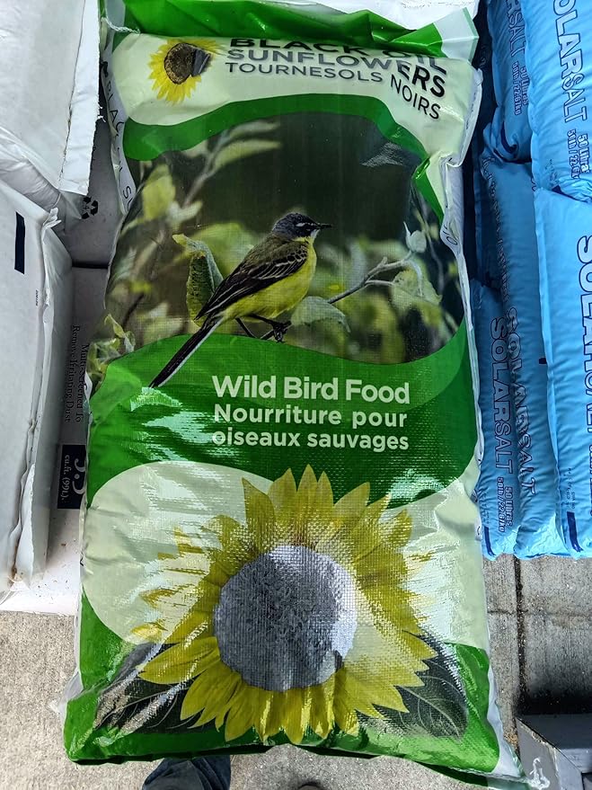 Black Oil Sunflower Seed Wild Bird Food (50 Pound) (Packaging May Vary)