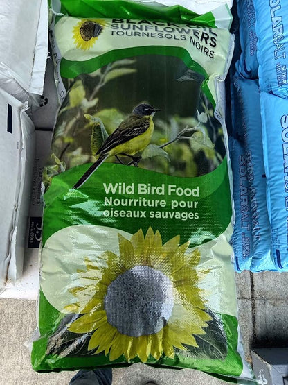 Black Oil Sunflower Seed Wild Bird Food (50 Pound) (Packaging May Vary)