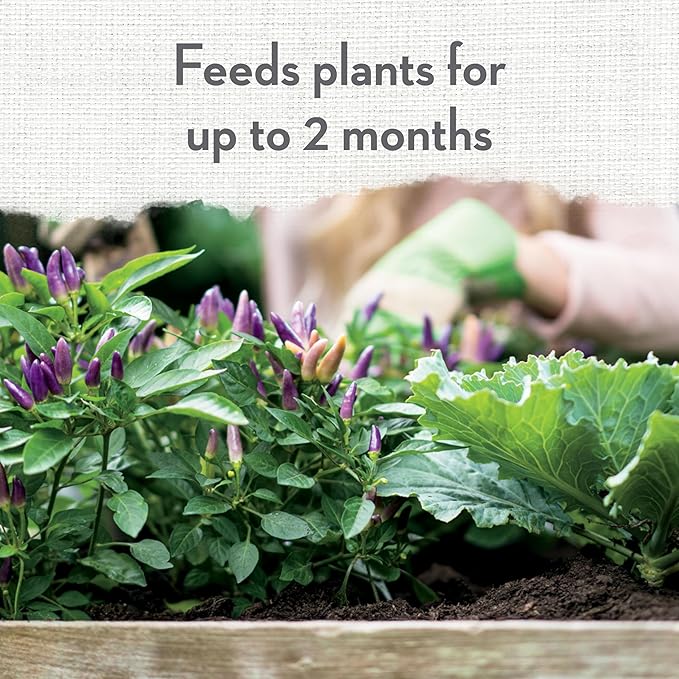 Whitney Farms Organic Potting Soil - Natural Indoor and Outdoor Container Mix for Vegetables, Herbs and Flowers, Feeds Plants up to 2 Months - 8 qt.