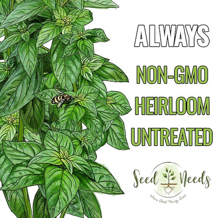 Seed Needs Genovese Basil/Lemon Basil Seeds for Planting Fresh Kitchen Herbs - Non-GMO Heirloom & Untreated Annual Herb Seed to Plant a Culinary Garden Indoors or Outdoors