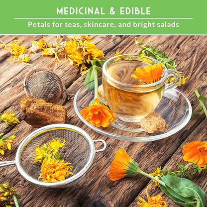 Calendula Seeds for Planting – 4 Pack Mix | Pacific Beauty, Apricot Beauty, Balls Orange, Greenheart – Heirloom Pot Marigold – Medicinal Herb, Pollinator Flowers – Survival Garden Seeds