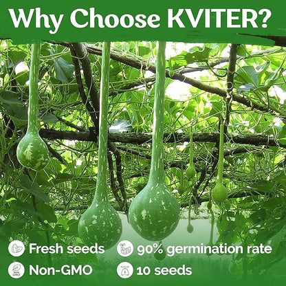 KVITER 10 Dipper Gourd Seeds (Lagenaria Siceraria) – Long Handle Dipper Gourd, Heirloom Seeds Non GMO Organic – Perfect Gourds for Crafts – Great for Outdoor Vegetable Garden, Containers & Trellises