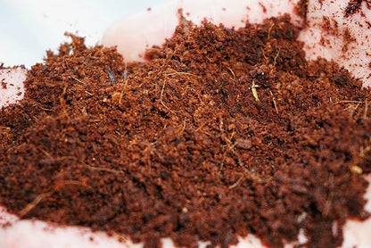 Coco Coir Brick, OMRI Listed for Organic Use (50)