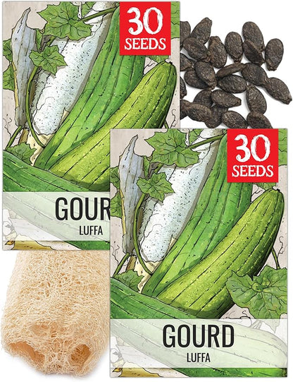 Seed Needs Luffa Seeds for Planting Loofah Sponge Gourds - Non-GMO Heirloom & Untreated Veggie Seed to Plant a Home Grown Outdoor Vegetable Garden (2 Packs)