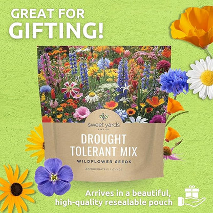 Drought Tolerant Wildflowers Mix – Extra Large Packet – Over 7,500 Open Pollinated Non-GMO Seeds – 21 Different Dryland Species