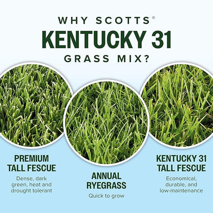Scotts Kentucky 31 Grass Seed Mix for New Lawns or Overseeding, Grows Thicker and Greener vs. Other Kentucky 31 Mixes, Covers up to 1,750 sq. ft.