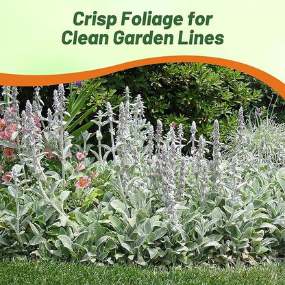Outsidepride Stachys Byzantina Lamb's Ear Seeds - 1000 Pcs Perennial Flower Seeds for Planting Velvet-Textured Silvery Foliage & Vibrant Blooms for Ground Cover & Pollinator Gardens
