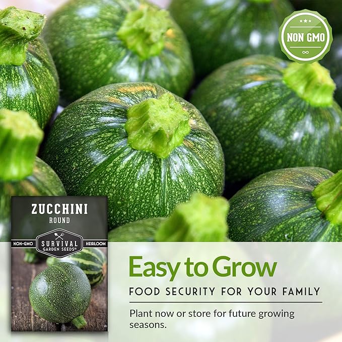 Survival Garden Seeds - Round Zucchini Seed for Planting - 3 Packs with Instructions to Plant & Grow Small Green Zucchinis in Your Home Vegetable Garden - Non-GMO Heirloom Variety - Seed Vault