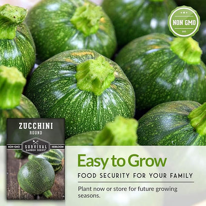 Survival Garden Seeds - Round Zucchini Seed for Planting - 3 Packs with Instructions to Plant & Grow Small Green Zucchinis in Your Home Vegetable Garden - Non-GMO Heirloom Variety - Seed Vault