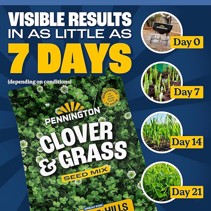 Pennington Smart Seed Clover and Grass Mix 7 lb