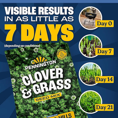 Pennington Smart Seed Clover and Grass Mix 7 lb