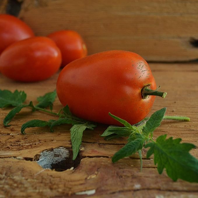 Amish Paste Tomato - 50 Seeds - Heirloom Amish Tomato Variety, Super for Sauce & Canning, USA-Grown, Non-GMO Heirloom Tomato Seeds for Planting Outdoors in The Home Garden, Thresh Seed Company