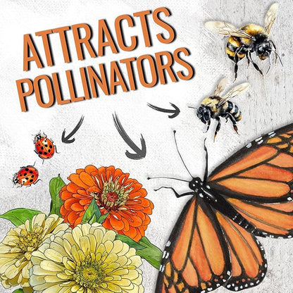 Seed Needs Zinnia Seeds for Planting California Giants Zinnias - Collection of 9 Individual Heirloom Seed Packets - Grow a Butterfly Garden to Attract Butterflies, Bees & Other Pollinators