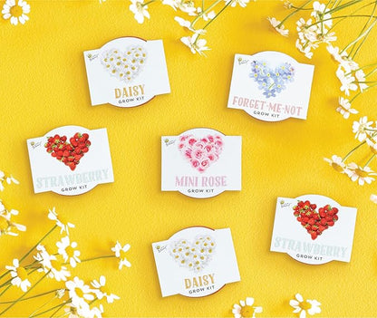 BUZZY Seeds Love Collection Indoor Flower Starter Kit – Terracotta Mini Grow Pots 6-Pack with Strawberry, Mini Rose, Forget-Me-Not, and Daisy Seeds, Valentine’s Day and Wedding Favors
