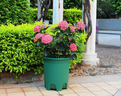 5 Gallon 20-Pack Green Nursery Pot Black Plastic Planters in Bulk with Drainage for Outdoor Indoor Large Plants Trees