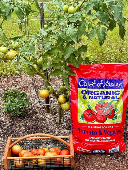 Coast of Maine Organic & Natural Planting Soil for Vegetables & Tomatoes - Premium Planting Soil w/ Composted Manure, Sphagnum Peat Moss for Multi Use Ground & Containers - Enhanced Drainage (20 Qt)