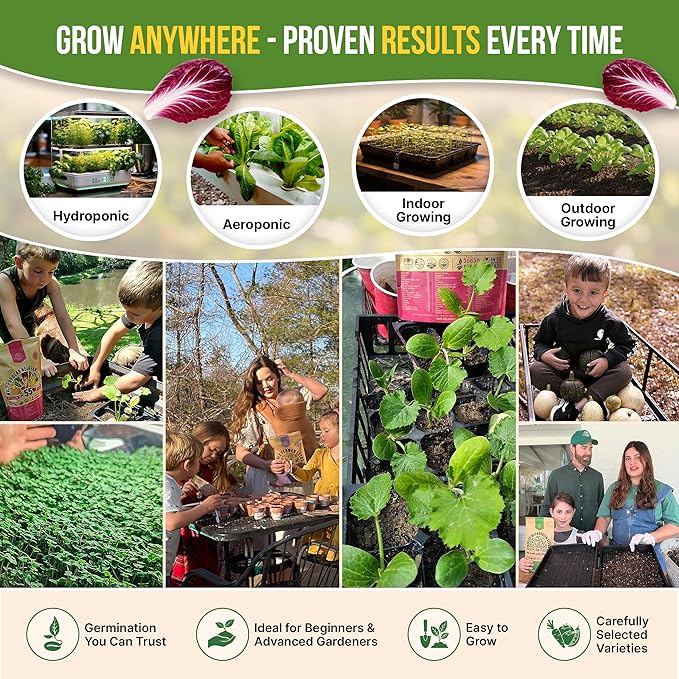 Organo Republic 10 Lettuce & Salad Greens Seeds Variety Pack 13000+ Non-GMO Heirloom Lettuce Seeds for Planting Indoors & Outdoors Garden, Hydroponics - Arugula, Radicchio, Kale, Spinach, Swiss Chard
