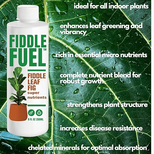 Fiddle Fuel – The Ultimate Fiddle Leaf Fig Premium Plant Fertilizer Liquid Nutrients Super Easy to Use for Fig Trees and Plants (Ficus Lyrata) – 8 oz