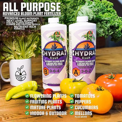 HydraBloom A B Bloom Nutrients - 2 Part Liquid Advanced Flower & Vegetable Fertilizer - for Hydroponic Aero Tower Home Systems Indoor and Outdoor Garden Fruit Plant Food - A+B 1 Litre Each Pack of 2