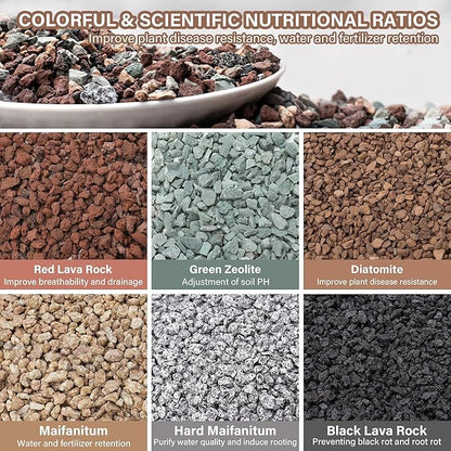 NUPICK 3lb Mix Horticultural Lava Rocks for Plants, 3/8" Colorful Succulent Potting Soil Amendments, Decorative Gravel for Cactus, Bonsai Gritty Rock, Pebbles Pumice for Vase Fillers, Top Dressing
