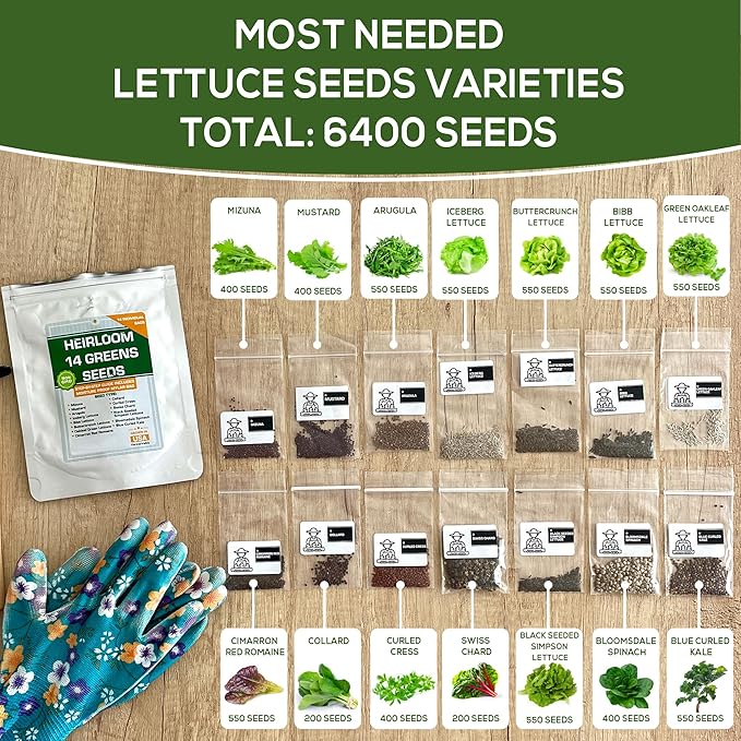 14 Varieties Heirloom Non-GMO Lettuce and Greens Seeds Pack for Outdoor and Indoor Gardening & Hydroponics, 6380 Seeds - Spinach, Bibb, Iceberg, Butter, Oakleaf, Black Seeded Simpson, Romaine & More