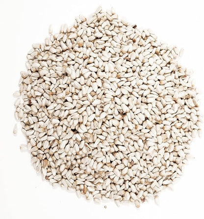 Wagner's 57075 Safflower Seed Wild Bird Food, 5 Pound (Pack of 1)