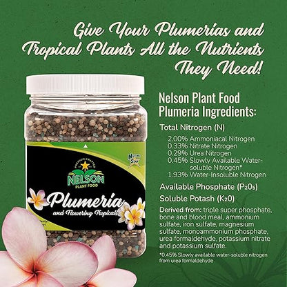 Nelson Plumeria Plant and All Flowering Tropicals Food Ferns Orchids Lilys In Ground Container Patio Grown Granular Fertilizer NutriStar 5-30-5 (25 LB)
