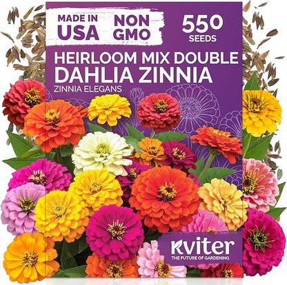 KVITER 550 Dahlia Zinnia Seeds for 2026 Mix (Zinnia Elegans) – Double Blooms, Non GMO, Heirloom & Organic – Flower seeds for Planting Outdoors in Garden, Containers, Flower Beds. Ideal for Cut Flowers