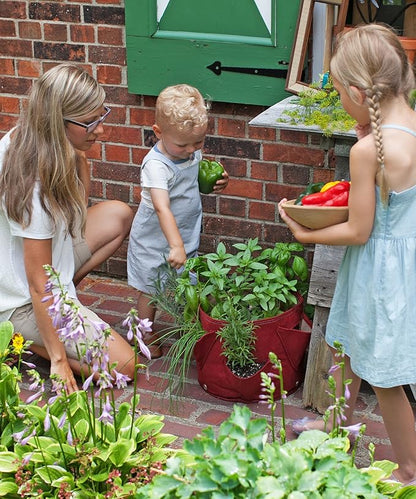 BloemBagz Big Herb Planter, 5 Gallon, Living Green