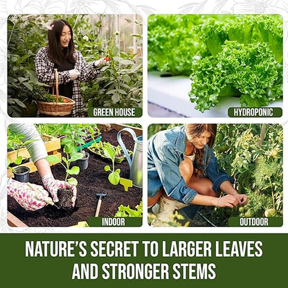PlantVantage Premium Growth Liquid Plant Food - Liquid Fertilizer for Stronger Stems & Larger Leaves, NPK Fertilizer (8-16-8) with Zinc & Iron, Foliar Spray for Trees, Shrubs & Flower Boost, 8 oz