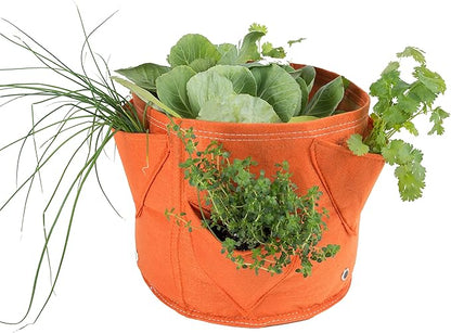 BloemBagz Big Herb Planter, 5 Gallon, Living Green