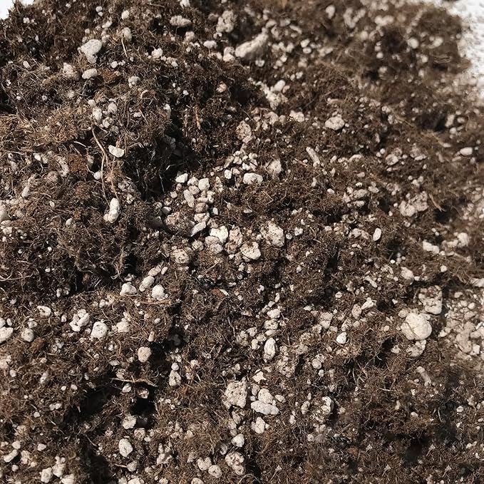 Key Lime Tree Growing Soil Mix – Custom Soil Blend – Potting Mix for Key Lime Trees – Developed by and for Professional Nursery Growers - Nutrient-Rich Formula (20 Quarts)