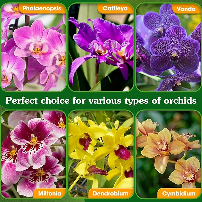 5-in-1 Orchid Potting Mix with Forest Moss, Pine Bark, Perlite, Zeolite, and Pumice – Orchid Soil, Orchid Repotting Kit for Healthy Roots, Fast Drainage, and Support for Growth 4 QRT