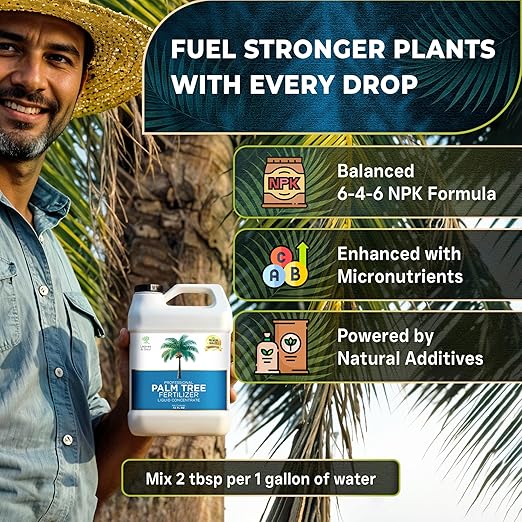 Leaves and Soul Professional Palm Tree Fertilizer Liquid Concentrate - 6-4-6 Blend for Tropical Plant Fertilizer, Garden Use - Liquid Plant Food for Palm Trees and Bushes Outdoors - 32oz