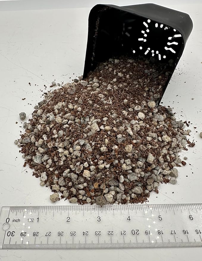 Lithops Soil Mix Perfect Potting Medium Proper Drainage Promotes Healthy Rooting Designed Specifically for Lithops (Seeding Mix 2 Quarts)