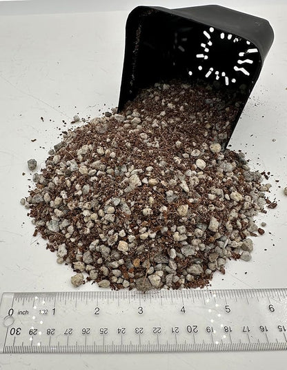 Lithops Soil Mix Perfect Potting Medium Proper Drainage Promotes Healthy Rooting Designed Specifically for Lithops (Seeding Mix 2 Quarts)