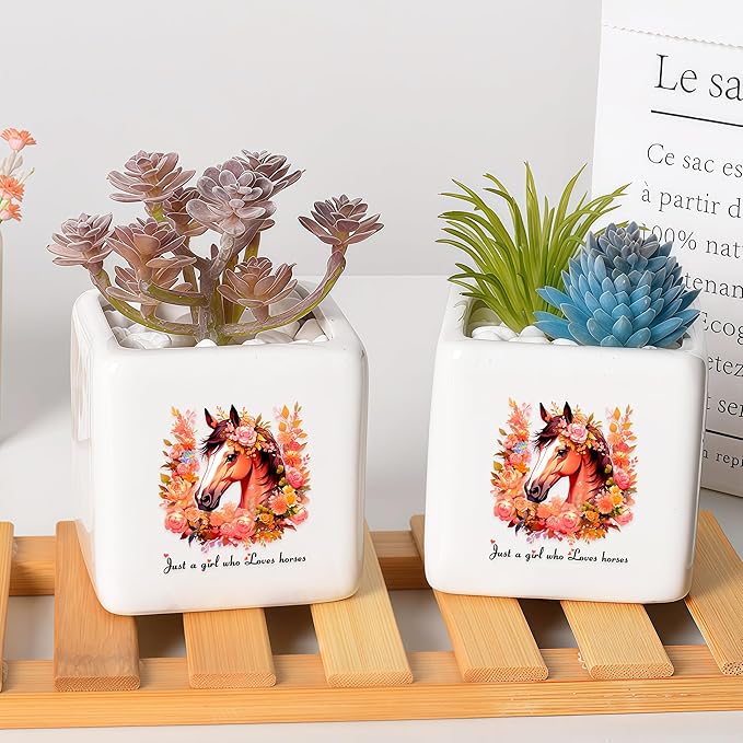 Horse Succulent Planter Flower Plant Pot Small, Gifts for Women Teens Girls Kids, Horse Lovers Themed Stuff Accessories Things Decor Merch, Home Office Table Desk Decoration!