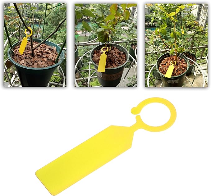 Plastic Garden Hanging Plant Tags 100pcs 11x2.5cm - Kare & Kind 100x Ring Tag Hanging Plant Labels - Colorful Plastic Plant Hook and Tree Tags