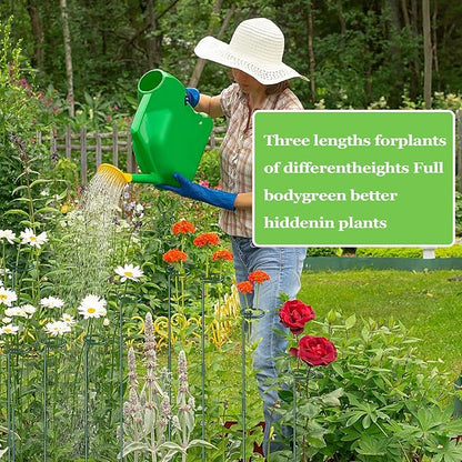 36 Inch Plant Stakes Tall, Three Sizes(12 or 24 or 36 Inch) Plant Support Stakes for Outdoor or Indoor,Garden Plant Stakes for Flowers Amaryllis Tomato Lily Peony Rose Flower Narcissus (4 Set)